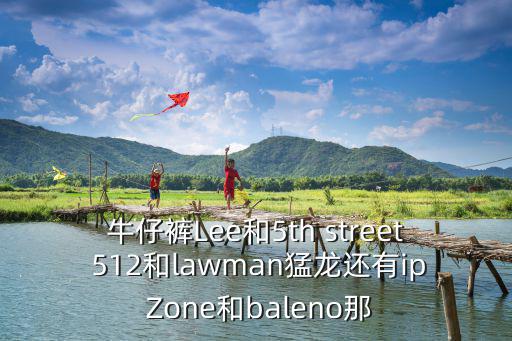 LAWMAN，NetLawman 中文意思是什么