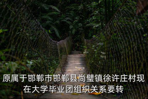 原屬于邯鄲市邯鄲縣尚璧鎮徐許莊村現在大學畢業團組織關系要轉