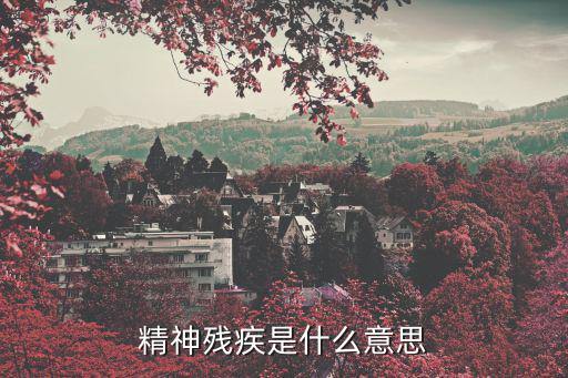 精神殘疾是什么意思