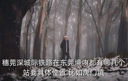 穗莞深城際鐵路在東莞境內(nèi)都有哪幾個站要具體位置 比如虎門鎮(zhèn)