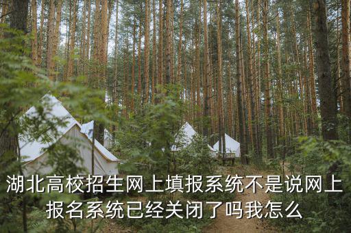 招生網上報名系統，河南省成人高等學校招生考生網上報名系統為什么登陸不上去
