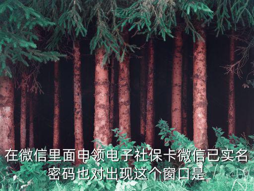 在微信里面申領電子社保卡微信已實名密碼也對出現這個窗口是