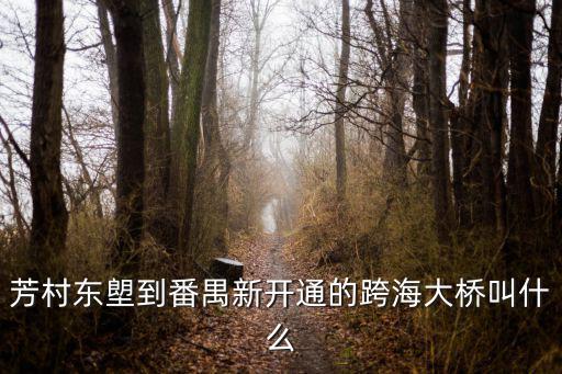 芳村東塱到番禺新開通的跨海大橋叫什么