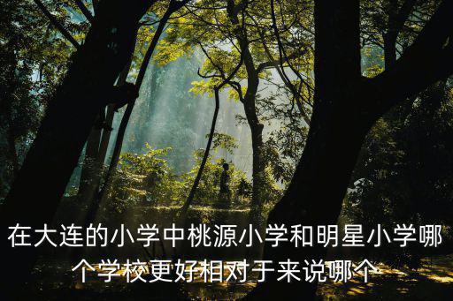 桃源小學，大連中山區重點小學是哪個文秀小學和桃源小學那個比較好