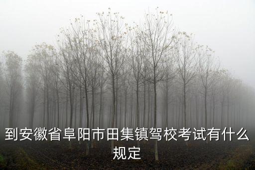 到安徽省阜陽市田集鎮駕校考試有什么規定