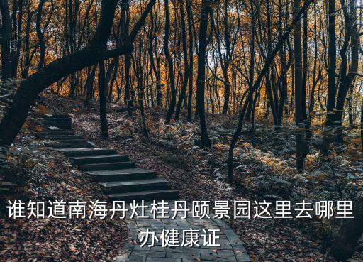 誰知道南海丹灶桂丹頤景園這里去哪里辦健康證