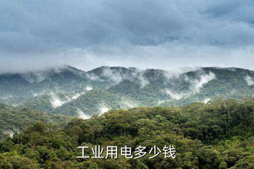 工業(yè)用電多少錢