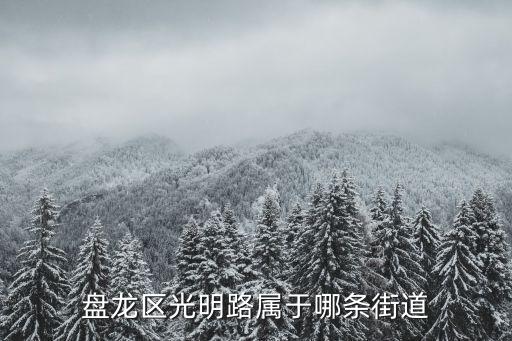 盤龍區光明路屬于哪條街道