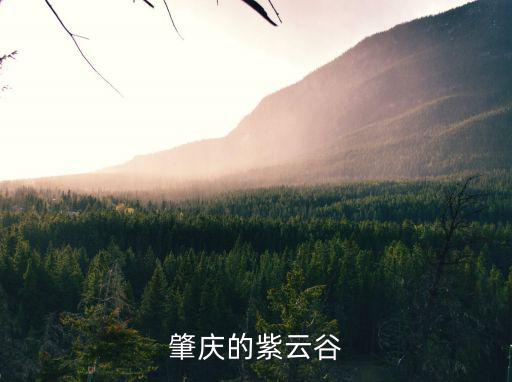 肇慶紫云谷，肇慶的紫云谷