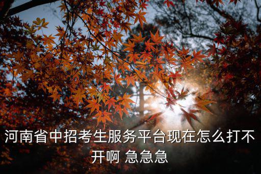 中招考生服務(wù)平臺(tái)，河南省中招考生服務(wù)平臺(tái)進(jìn)不去怎么辦呀
