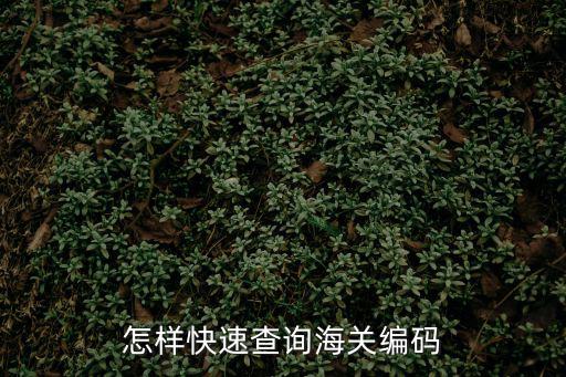 怎樣快速查詢海關編碼