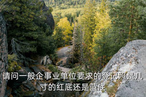 請問一般企事業單位要求的登記照是幾寸的紅底還是藍底