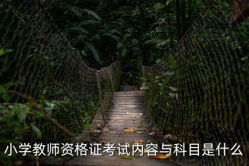 中小學教資，中小學教師資格考試報考教師資格需要什么條件