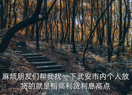 麻煩朋友們幫我找一下武安市內(nèi)個人放貸的就是指高利貸利息高點
