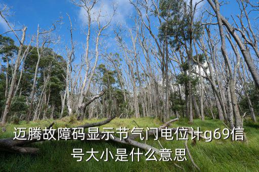 邁騰故障碼顯示節(jié)氣門電位計g69信號大小是什么意思