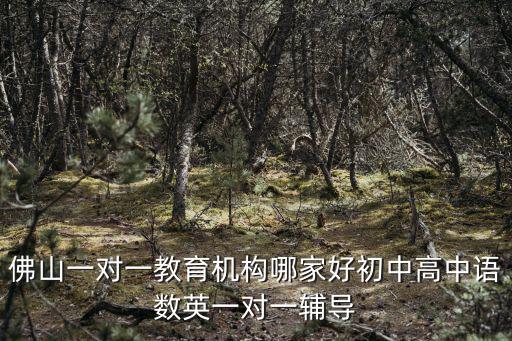佛山一對一教育機構哪家好初中高中語數英一對一輔導