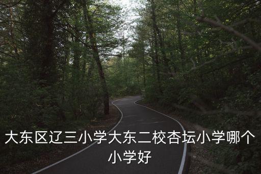 大東區遼三小學大東二校杏壇小學哪個小學好