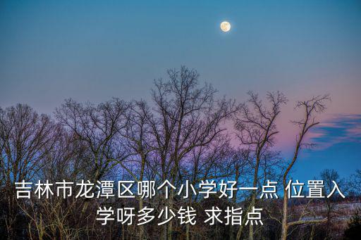 龍潭小學，吉林市龍潭區哪個小學好一點 位置入學呀多少錢 求指點