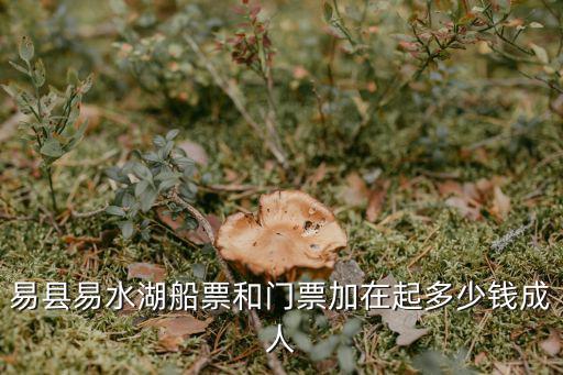 易縣易水湖船票和門票加在起多少錢成人