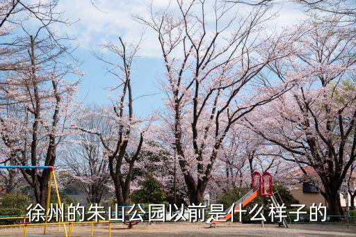 徐州的朱山公園以前是什么樣子的