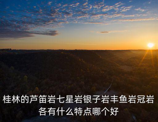 桂林的蘆笛巖七星巖銀子巖豐魚巖冠巖各有什么特點哪個好