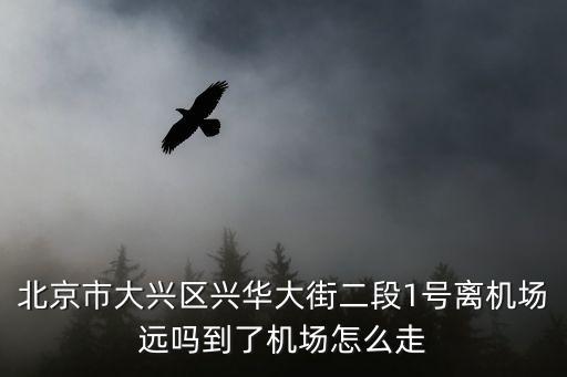 興華街道，興華街在哪