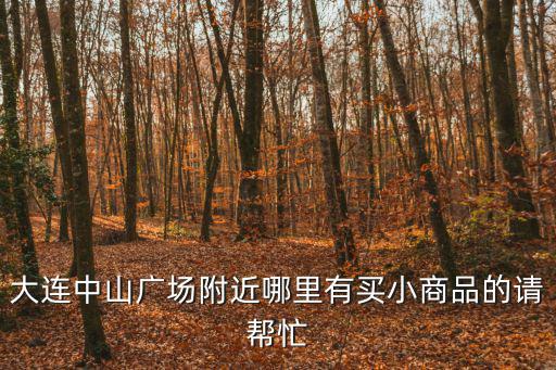 大連中山廣場附近哪里有買小商品的請幫忙