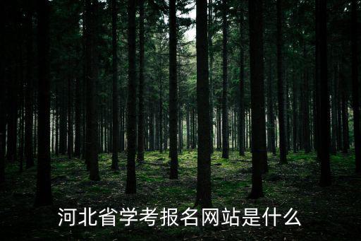 學考報名網站入口，會考報名網址不用ie瀏覽器打開的有嗎