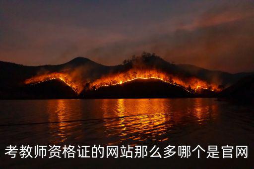 考教師資格證的網站那么多哪個是官網