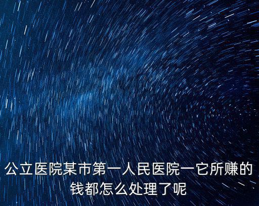 公立醫院某市第一人民醫院一它所賺的錢都怎么處理了呢