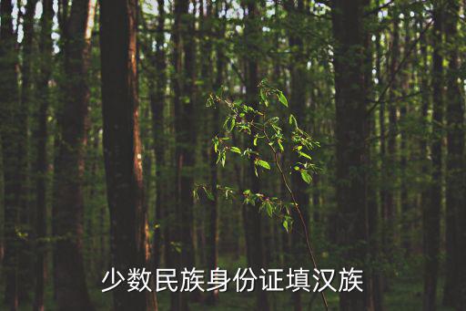 少數民族身份證填漢族