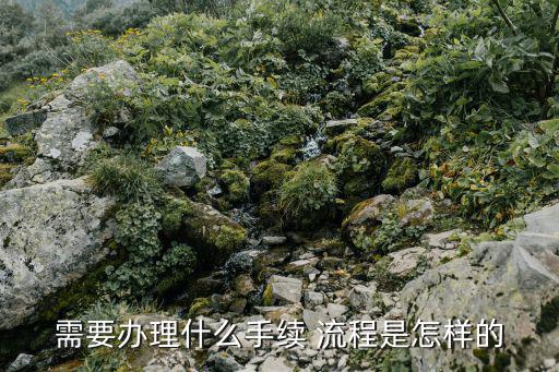 需要辦理什么手續 流程是怎樣的