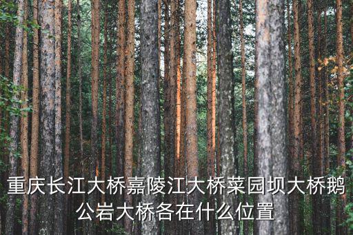 重慶長江大橋嘉陵江大橋菜園壩大橋鵝公巖大橋各在什么位置