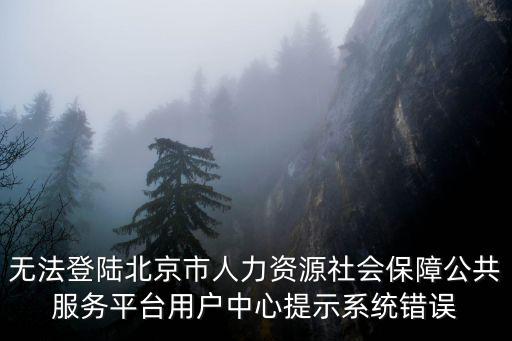無法登陸北京市人力資源社會保障公共服務平臺用戶中心提示系統(tǒng)錯誤
