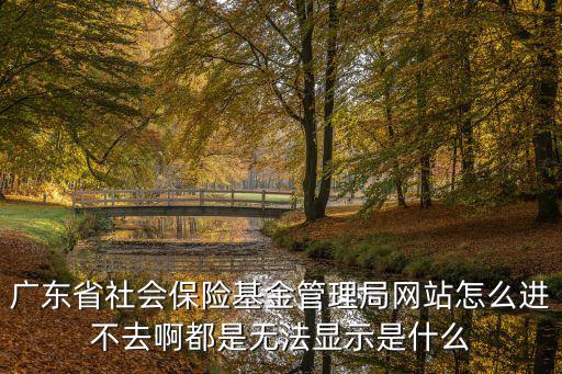 廣東省社會保險基金管理局網站怎么進不去啊都是無法顯示是什么