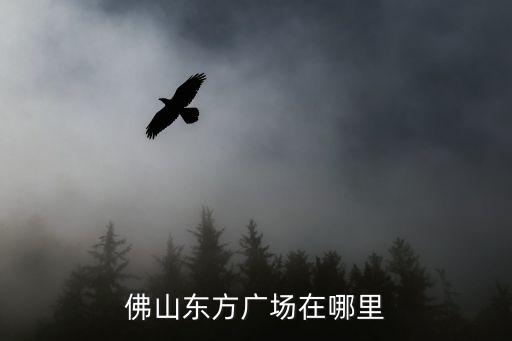 佛山東方廣場在哪里