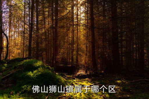 佛山獅山鎮屬于哪個區