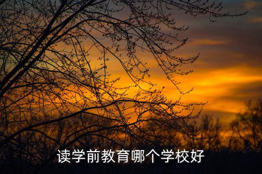 學(xué)前教育學(xué)校，學(xué)前教育專業(yè)哪個(gè)學(xué)校最好專科