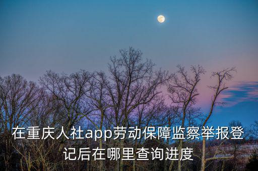 在重慶人社app勞動保障監察舉報登記后在哪里查詢進度