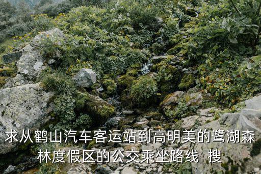 高明美的鷺湖森林度假區，鷺湖國際養生度假區在哪