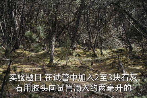 實驗題目 在試管中加入2至3塊石灰石用膠頭向試管滴入約兩毫升的
