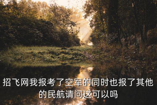 招飛網我報考了空軍的同時也報了其他的民航請問這可以嗎