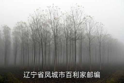 遼寧省鳳城市百利家郵編