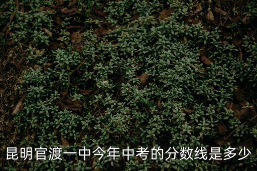 昆明官渡一中今年中考的分數線是多少