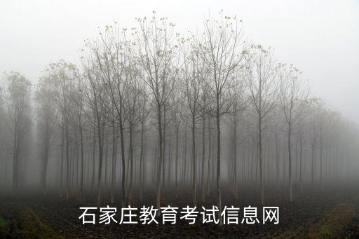 石家莊教育考試院官網，石家莊市教育考試院網上報名考試通知單打印