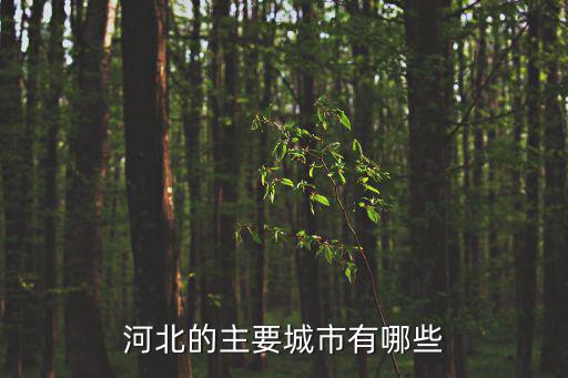 河北的主要城市有哪些