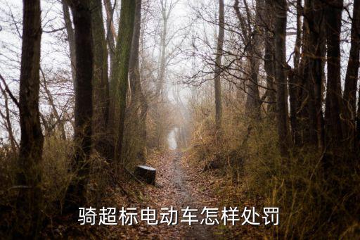 騎超標電動車怎樣處罰