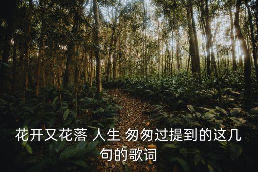 花開又花落 人生 匆匆過提到的這幾句的歌詞