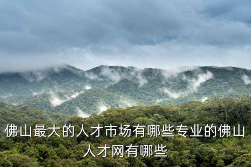 佛山最大的人才市場有哪些專業的佛山人才網有哪些