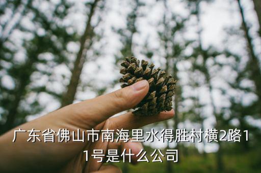 廣東省佛山市南海里水得勝村橫2路11號是什么公司
